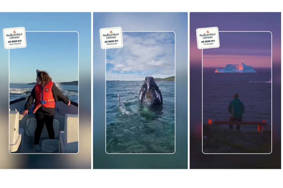 Precise TV & Newfoundland: inspiring travel with YouTube Shorts